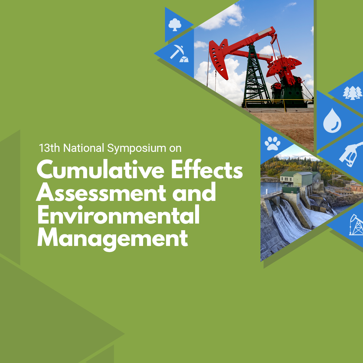 Cumulative Effects Assessment and Environmental Management