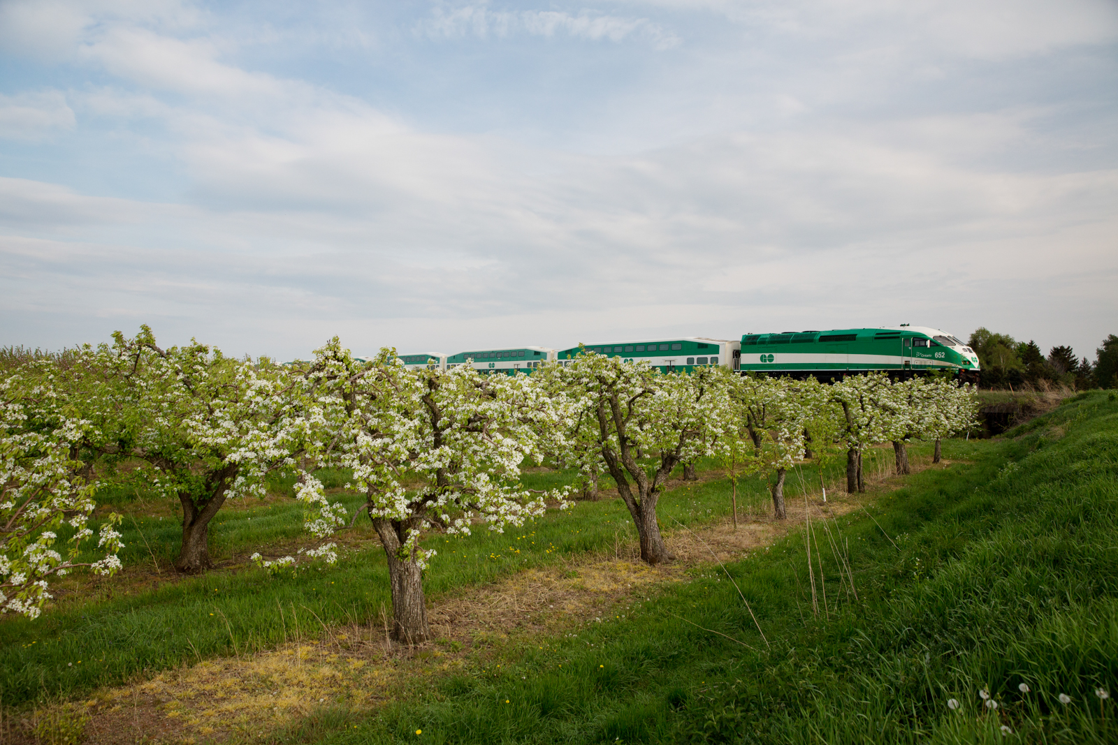 GO Train 5